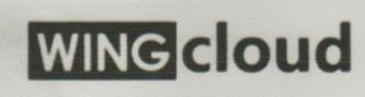 WING cloud (and logo) trademark logo