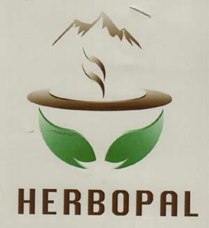 HERBOPAL (and logo) trademark logo