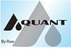 RSW QUANT (and logo) trademark logo