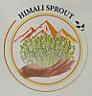 HIMALI SPROUT (and logo) trademark logo