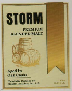 STORM (and logo) trademark logo