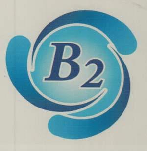 B2 (and logo) trademark logo