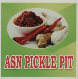 ASN PICKLE PIT (and logo) trademark logo