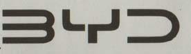 BYD (and logo) trademark logo