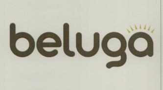 BELUGA (and logo) trademark logo