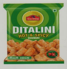 SIX VILLA DITALINI (and logo) trademark logo