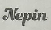 NEPIN (and logo) trademark logo