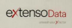 EXTENSO DATA UNLEASH YOUR XFACTOR (and logo) trademark logo