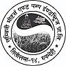 LUMBINI MOTORS AND PUMP INDUSTRIES PVT. LTD. (and logo) trademark logo
