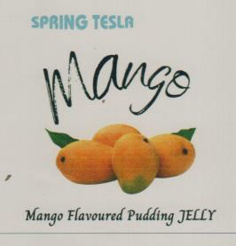 SPRING TESLA MANGO (and logo) trademark logo