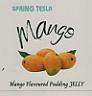 SPRING TESLA MANGO (and logo) trademark logo
