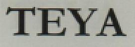 TEYA (and logo) trademark logo