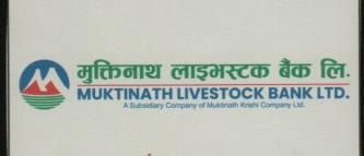 MUKTINATH LIVESTOCK BANK LTD. (and logo) trademark logo