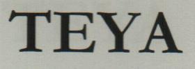 TEYA (and logo) trademark logo