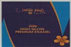 INDIGO PAINTS ELITE HIGH GLOSS PREMIUM ENAMEL (and logo) trademark logo