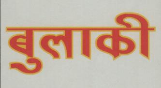 BULAKI (and logo) trademark logo