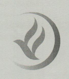 DEVICE MARK trademark logo