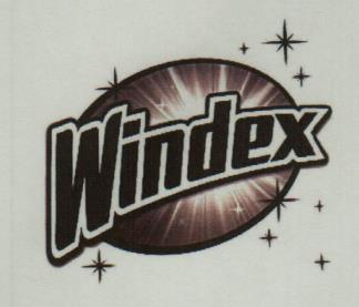 WINDEX (and logo) trademark logo