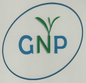 GNP (and logo) trademark logo