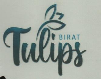 BIRAT TULIPS (and logo) trademark logo