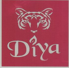DIYA (and logo) trademark logo