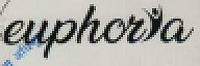 EUPHORYA (and logo) trademark logo