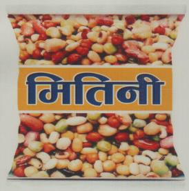 MITINI (and logo) trademark logo