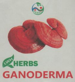 LWH HERBS GANODERMA (and logo) trademark logo