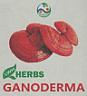 LWH HERBS GANODERMA (and logo) trademark logo