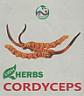 LWH HERBS CORDYCEPS (and logo) trademark logo