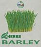 LWH HERBS BARLEY (and logo) trademark logo