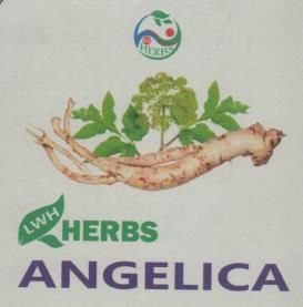 LWH HERBS ANGELICA (and logo) trademark logo