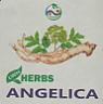 LWH HERBS ANGELICA (and logo) trademark logo