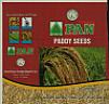 PAN PADDY SEEDS (and logo) trademark logo
