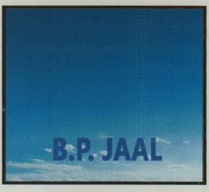 B.P. JAAL (and logo) trademark logo