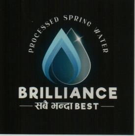 BRILLIANCE (and logo) trademark logo