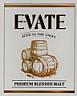 E-VATE (and logo) trademark logo