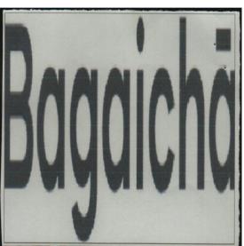 BAGAICHA (and logo) trademark logo