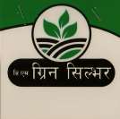 B.M GREEN SILVER (and logo) trademark logo