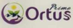 PRIME ORTUS (and logo) trademark logo