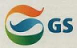 GS (and logo) trademark logo
