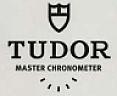 TUDOR (and logo) trademark logo