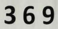 369 (and logo) trademark logo