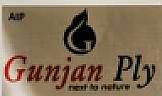 AIP GUNJAN PLY (and logo) trademark logo