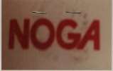NOGA (and logo) trademark logo