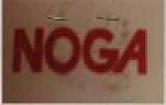 NOGA (and logo) trademark logo