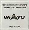 VAAYU (and logo) trademark logo