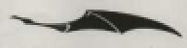 DEVICE MARK trademark logo
