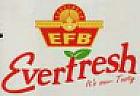 EFB EVERFRESH (and logo) trademark logo