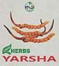 LWH HERBS YARSHA (and logo) trademark logo